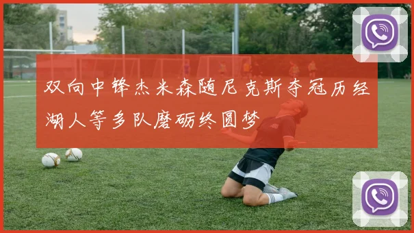 双向中锋杰米森随尼克斯夺冠历经湖人等多队磨砺终圆梦